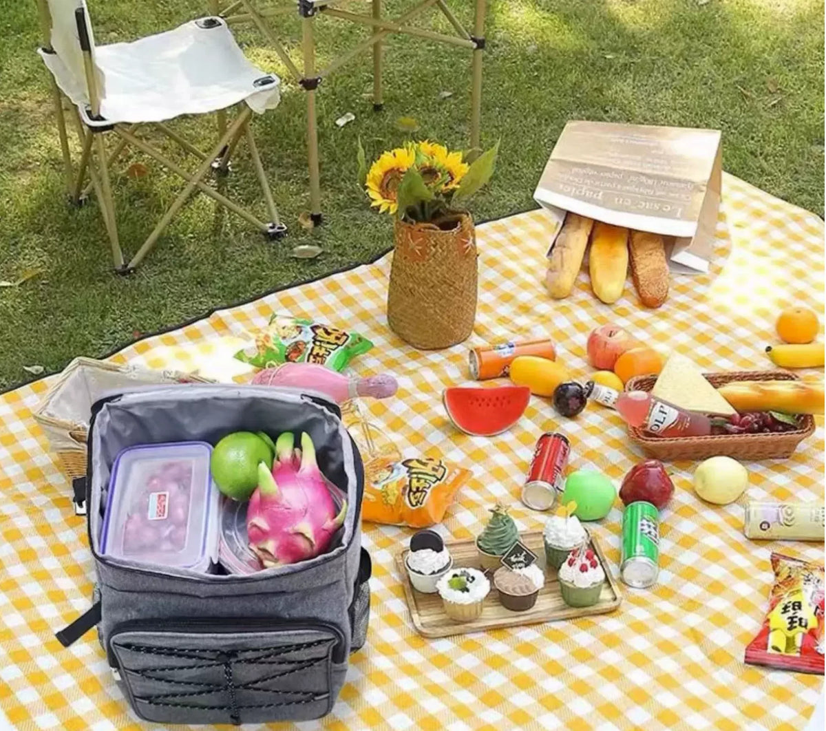 Picnic Backpack